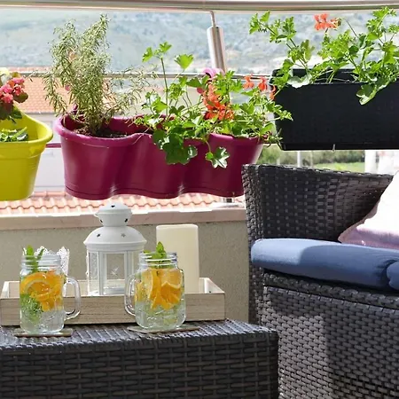 Vlatka * Trogir